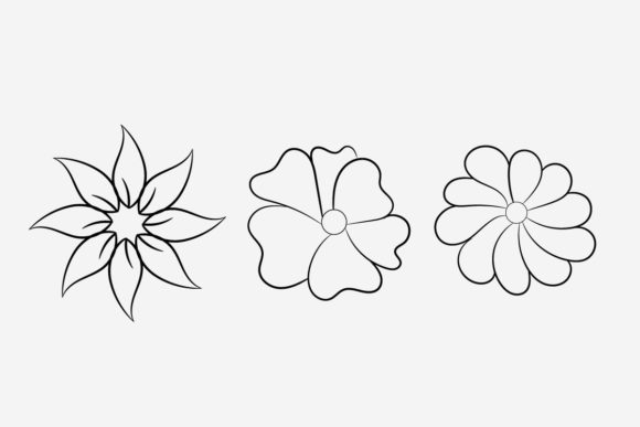 Floral Line Art Patten with Branch Graphics