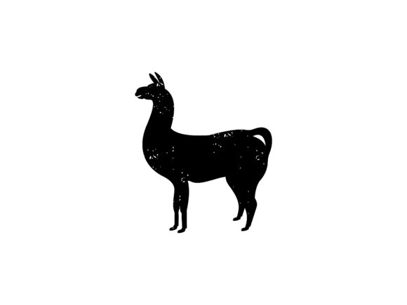 Llama Alpaca Animal Logo: Graphics & Logos Review